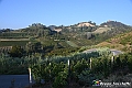 VBS_5608 - C'è un mare di velluto verde! E tu che sognavi di andare lontano... Quanta meraviglia, quì!